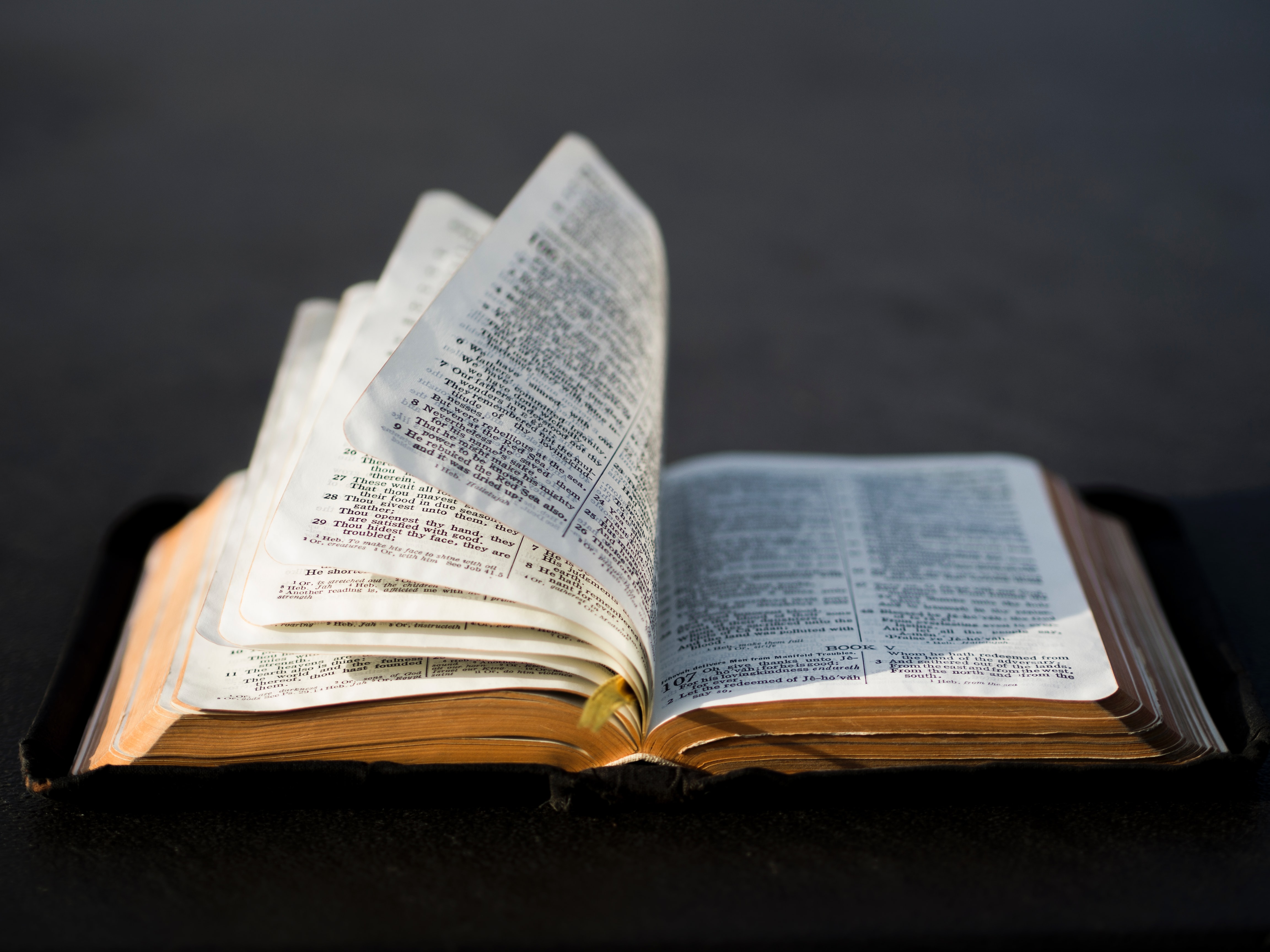 Scriptures & Poems